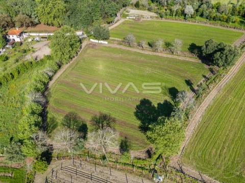 Terreno  Venda em Coucieiro,Vila Verde