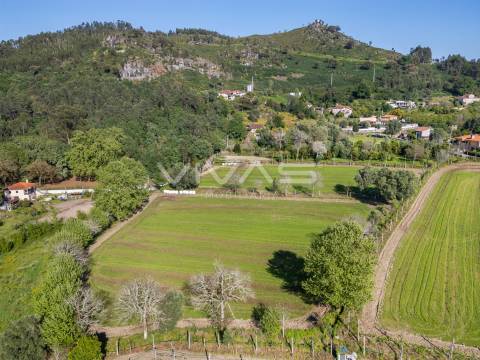 Terreno  Venda em Coucieiro,Vila Verde