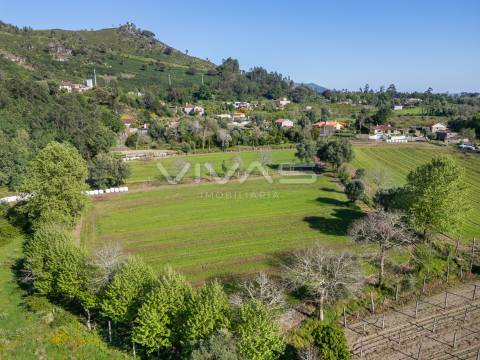 Terreno  Venda em Coucieiro,Vila Verde