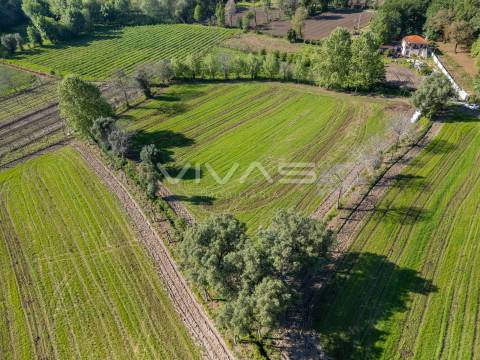 Terreno  Venda em Coucieiro,Vila Verde