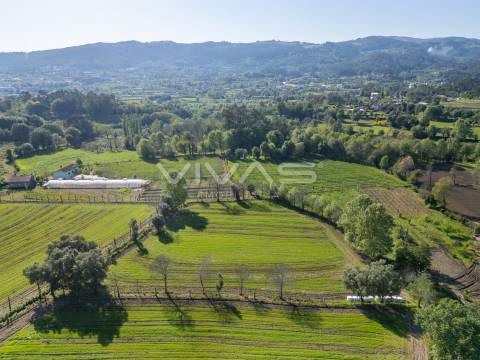 Terreno  Venda em Coucieiro,Vila Verde
