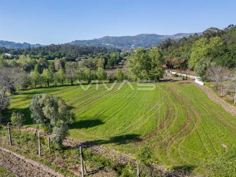 Terreno  Venda em Coucieiro,Vila Verde