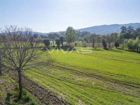 Terreno  Venda em Coucieiro,Vila Verde