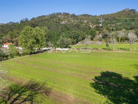 Terreno  Venda em Coucieiro,Vila Verde