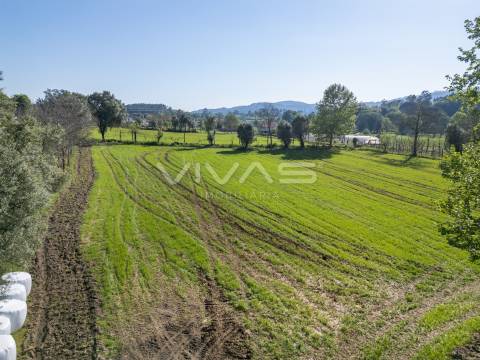 Terreno  Venda em Coucieiro,Vila Verde