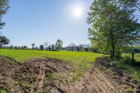 Terreno  Venda em Coucieiro,Vila Verde