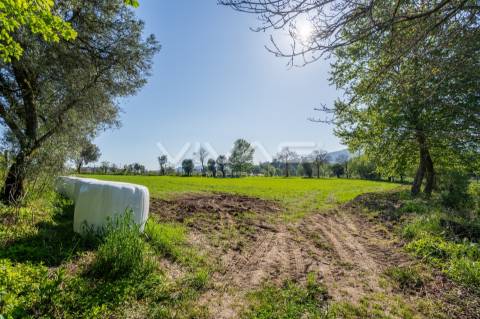 Terreno  Venda em Coucieiro,Vila Verde