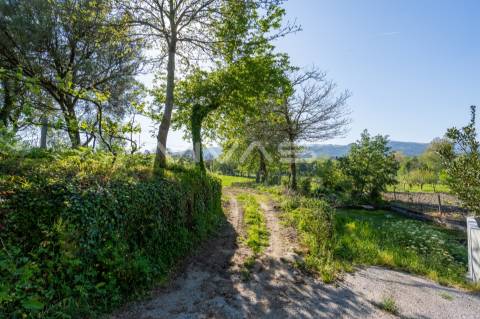 Terreno  Venda em Coucieiro,Vila Verde