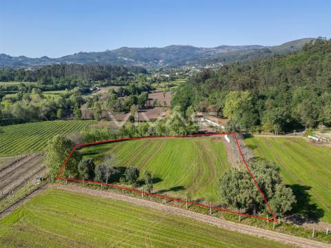 Terreno  Venda em Coucieiro,Vila Verde