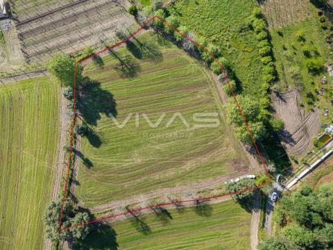 Terreno  Venda em Coucieiro,Vila Verde