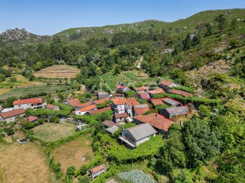 Moradia T0 Venda em Chamoim e Vilar,Terras de Bouro