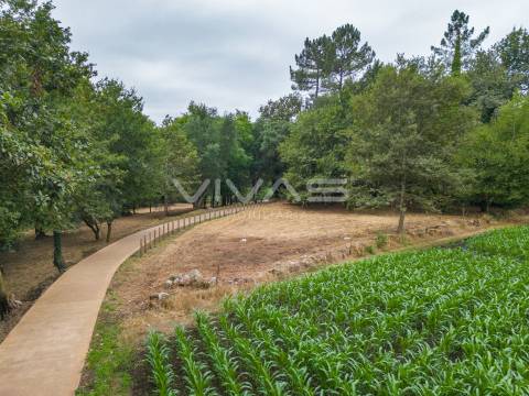 Terreno Rústico  Venda em Soutelo,Vila Verde