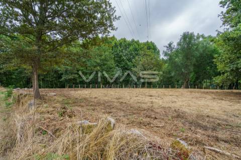 Terreno Rústico  Venda em Soutelo,Vila Verde