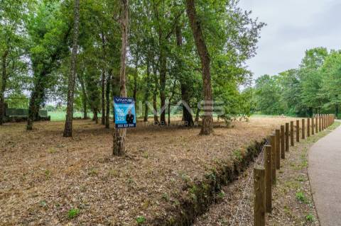 Terreno Rústico  Venda em Soutelo,Vila Verde