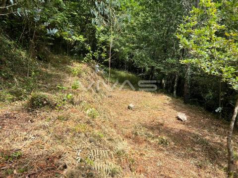 Terreno Rústico  Venda em Bouro (Santa Marta),Amares