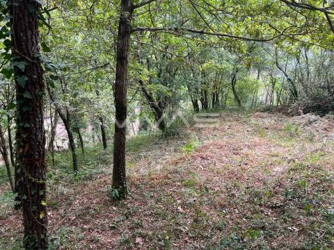 Terreno Rústico  Venda em Bouro (Santa Marta),Amares