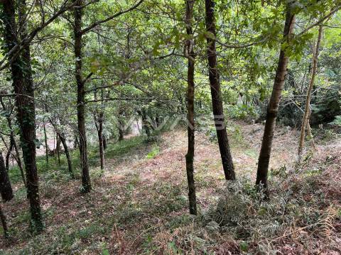Terreno Rústico  Venda em Bouro (Santa Marta),Amares