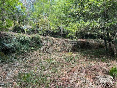 Terreno Rústico  Venda em Bouro (Santa Marta),Amares