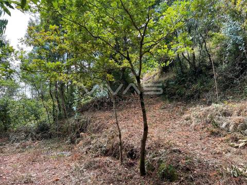 Terreno Rústico  Venda em Bouro (Santa Marta),Amares