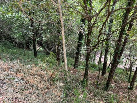 Terreno Rústico  Venda em Bouro (Santa Marta),Amares