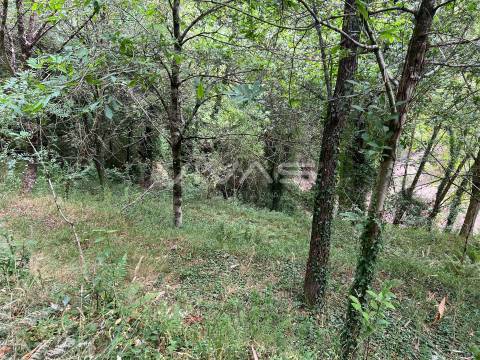 Terreno Rústico  Venda em Bouro (Santa Marta),Amares