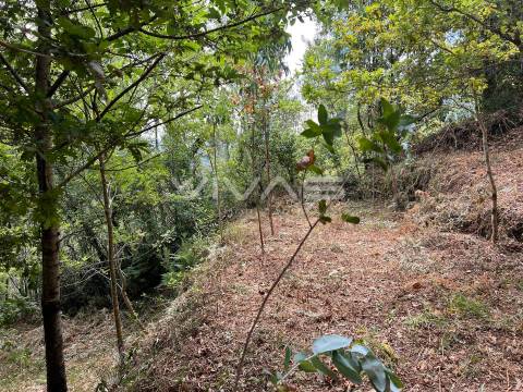Terreno Rústico  Venda em Bouro (Santa Marta),Amares