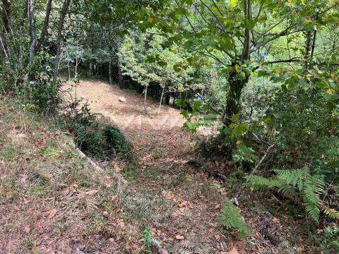 Terreno Rústico  Venda em Bouro (Santa Marta),Amares