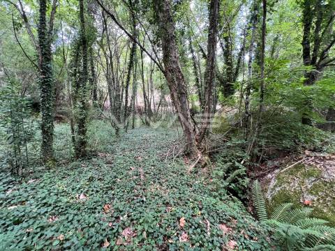 Terreno Rústico  Venda em Bouro (Santa Marta),Amares