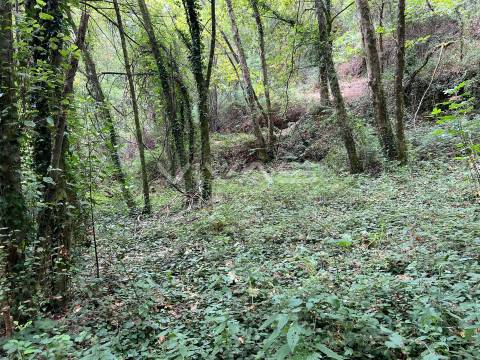 Terreno Rústico  Venda em Bouro (Santa Marta),Amares