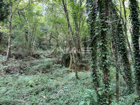 Terreno Rústico  Venda em Bouro (Santa Marta),Amares