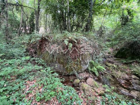 Terreno Rústico  Venda em Bouro (Santa Marta),Amares