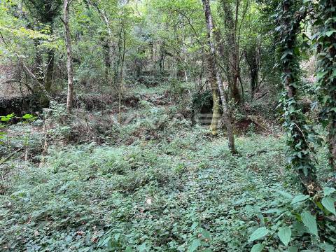 Terreno Rústico  Venda em Bouro (Santa Marta),Amares