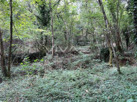 Terreno Rústico  Venda em Bouro (Santa Marta),Amares
