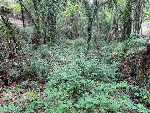 Terreno Rústico  Venda em Bouro (Santa Marta),Amares