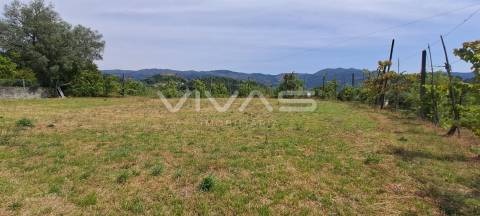 Terreno Para Construção  Venda em Valdreu,Vila Verde