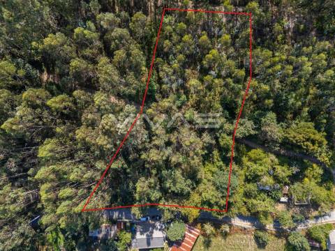 Terreno Rústico  Venda em Cabaços e Fojo Lobal,Ponte de Lima