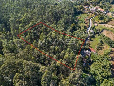 Terreno Rústico  Venda em Cabaços e Fojo Lobal,Ponte de Lima