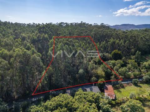 Terreno Rústico  Venda em Cabaços e Fojo Lobal,Ponte de Lima