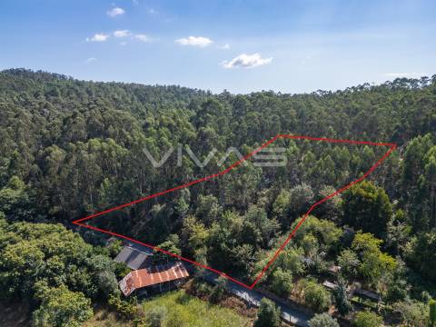 Terreno Rústico  Venda em Cabaços e Fojo Lobal,Ponte de Lima