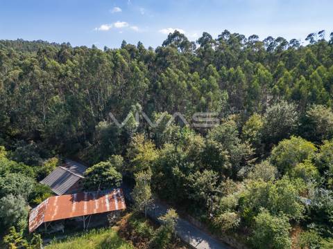 Terreno Rústico  Venda em Cabaços e Fojo Lobal,Ponte de Lima