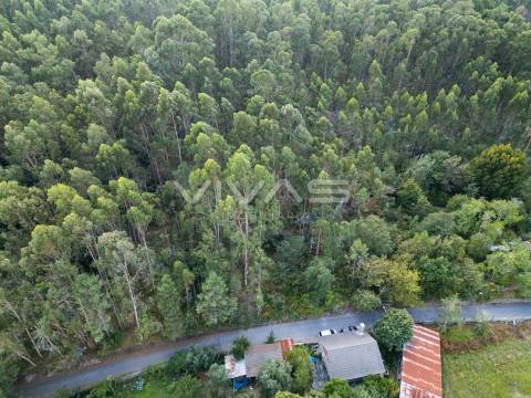 Terreno Rústico  Venda em Cabaços e Fojo Lobal,Ponte de Lima