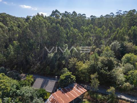 Terreno Rústico  Venda em Cabaços e Fojo Lobal,Ponte de Lima