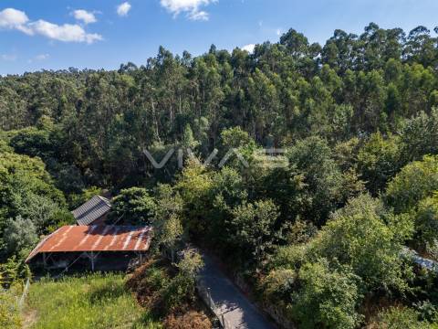 Terreno Rústico  Venda em Cabaços e Fojo Lobal,Ponte de Lima