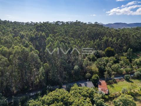 Terreno Rústico  Venda em Cabaços e Fojo Lobal,Ponte de Lima