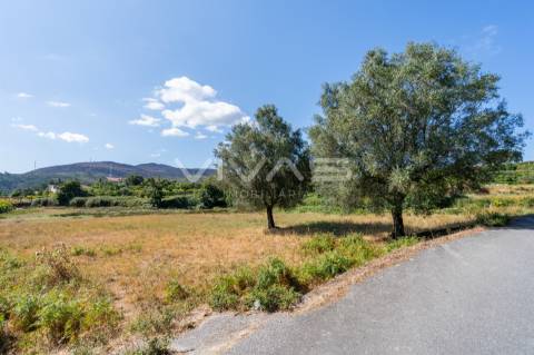 Terreno Rústico  Venda em Cabaços e Fojo Lobal,Ponte de Lima