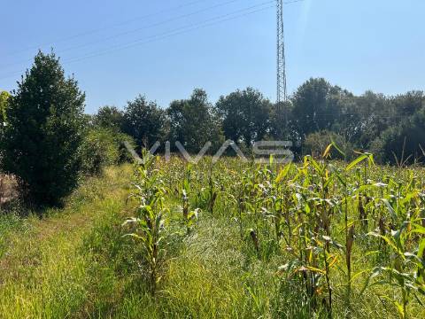 Terreno Rústico  Venda em Oleiros,Vila Verde