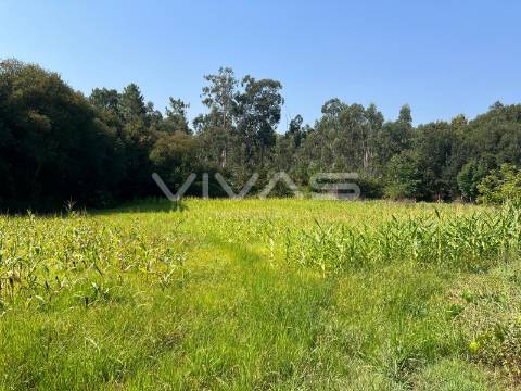 Terreno Rústico  Venda em Oleiros,Vila Verde