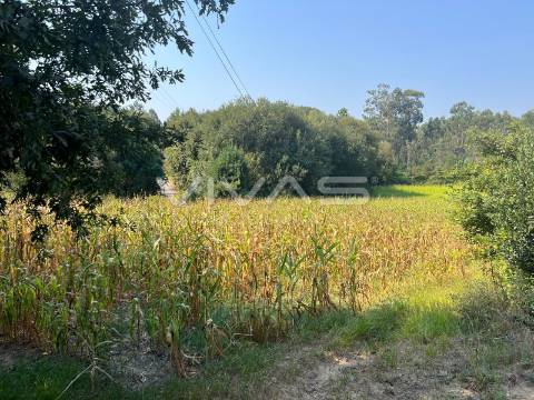 Terreno Rústico  Venda em Oleiros,Vila Verde