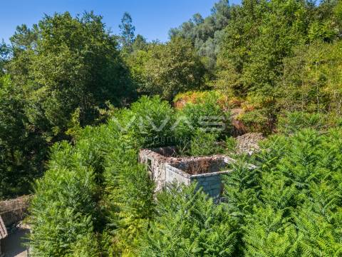 Moradia para Restaurar T0 Venda em Vade,Vila Verde