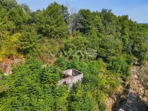 Moradia para Restaurar T0 Venda em Vade,Vila Verde